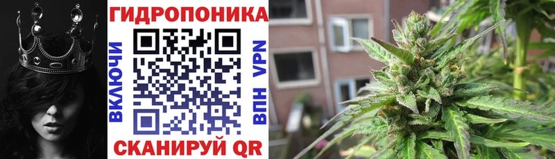 закладки  shop Telegram  Бошки марихуана семена  Талдом 